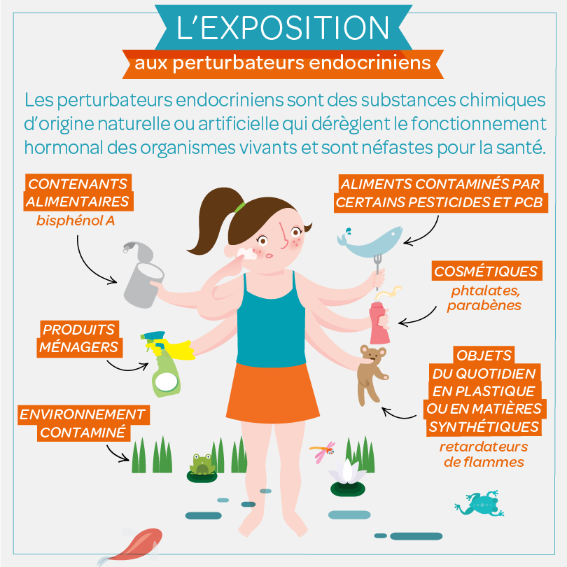 15216_vignetteSITE_SNPE_810px.png